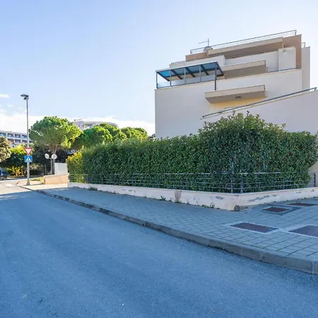 Olea Ντουμπρόβνικ